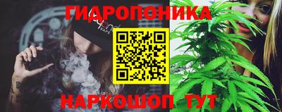 сатива Нарткала