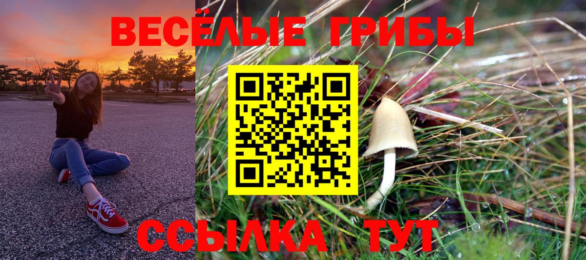 Псилоцибиновые грибы Psilocybe  Вход с VPN  Тара 